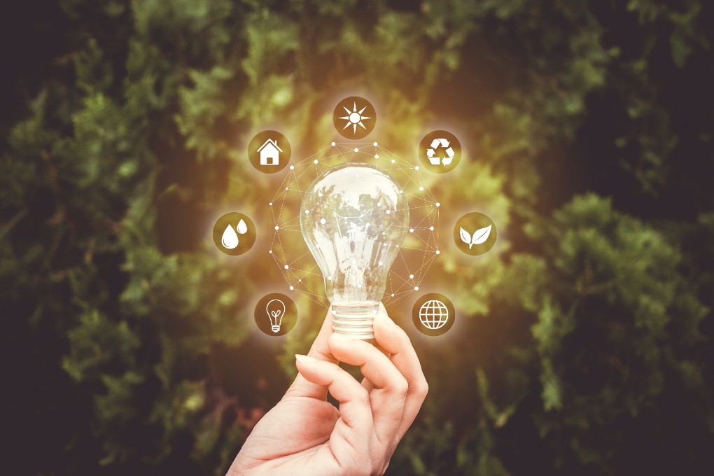 Photo of a hand holding a lit lightbulb with ecological-themed icons around it